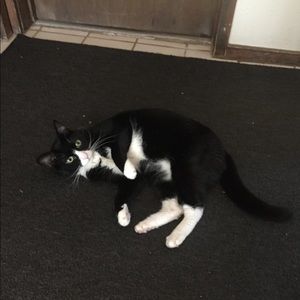 Meet your Posher, Gavin